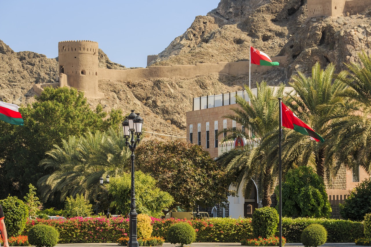 Fintech Still in Infancy in Oman Despite Growth Potential