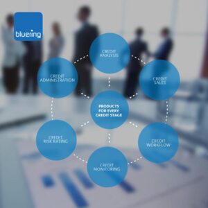 Bluering, Linkedin.com