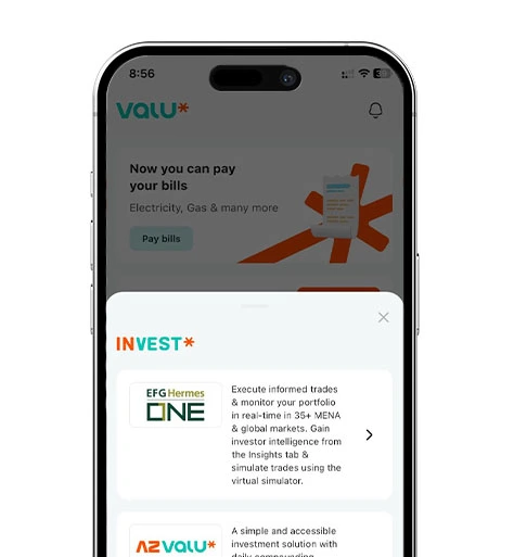 Digital Wealth and Investing Apps in Egypt, Valu investment products dashboard, Source: Valu