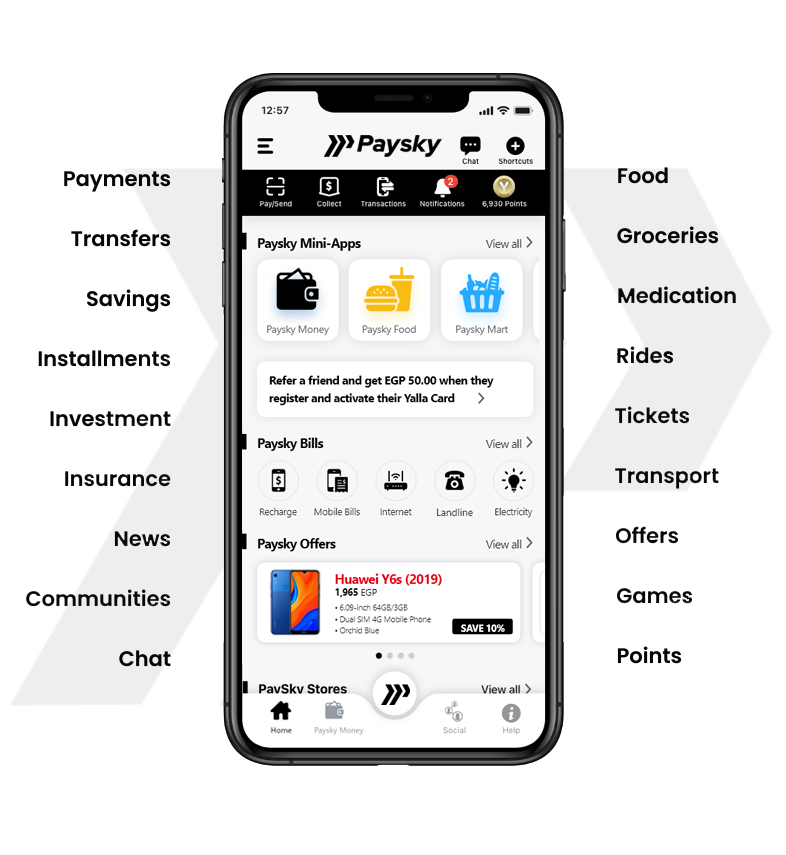 Paysky mockup, Source: Paysky